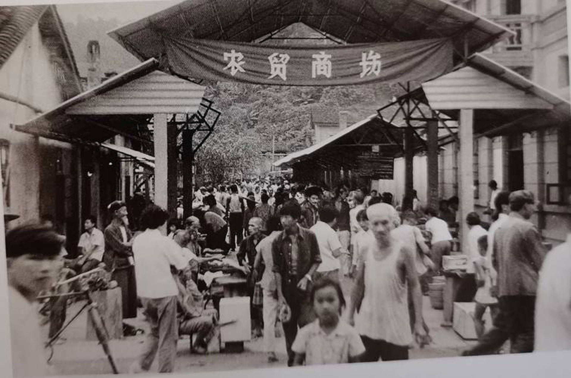 杜昔妮商贸